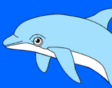 Desenho Golfinho pintado por  luisa 