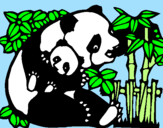 Desenho Mamã panda pintado por lola