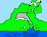 Desenho Golfinho e gaviota pintado por lindsay