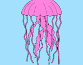 Desenho Medusa pintado por onda