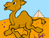 Desenho Camelo pintado por sergio