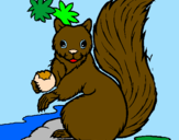Desenho Esquilo pintado por esquilo