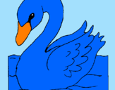 Desenho Cisne pintado por joão  vitor