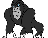 Desenho Gorila pintado por Reca