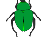 Desenho Escaravelho pintado por Barbara