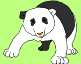 Desenho Urso panda pintado por onda