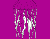 Desenho Medusa pintado por JOAO  VICTOR
