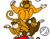 Desenho Macacos a fazer malabarismos pintado por Carol