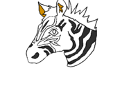 Desenho Zebra II pintado por adriano