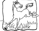 Desenho Cavalo a dar um coice pintado por André