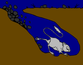 Desenho Rata canguro pintado por mano 