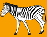 Desenho Zebra pintado por joao