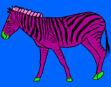 Desenho Zebra pintado por icaro
