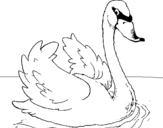 Desenho Cisne na água pintado por cisne amarelo