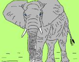 Desenho Elefante pintado por onda
