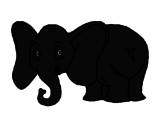 Desenho Elefante pequeno pintado por dri