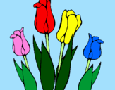 Desenho Tulipa pintado por Francisco