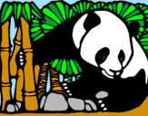 Desenho Urso panda e bambu pintado por Andreia