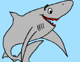 Desenho Tiburão alegre pintado por julio  /   tubao