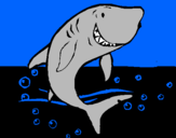 Desenho Tubarão pintado por Guilherme