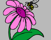 Desenho Margarida com abelha pintado por anónimo