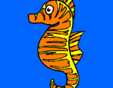 Desenho Cavalo marinho pintado por pez