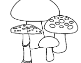 Desenho Cogumelos pintado por filo
