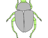 Desenho Escaravelho pintado por tania