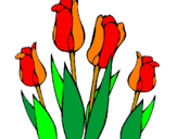 Desenho Tulipa pintado por ANDREA