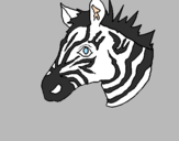 Desenho Zebra II pintado por tigre
