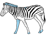 Desenho Zebra pintado por f