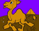 Desenho Camelo pintado por BARBARA