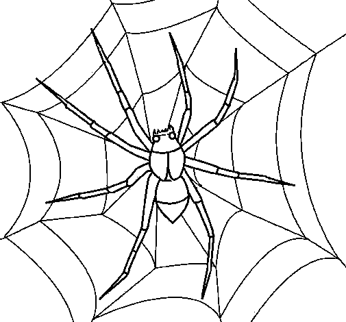 Desenho Aranha pintado por aranha humana