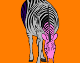 Desenho Zebra pintado por JOAO  VICTOR