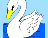 Desenho Cisne pintado por Patricia