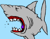Desenho Tubarão pintado por LUDMILLA JUDAICO