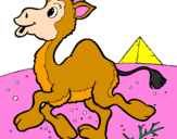 Desenho Camelo pintado por bidu