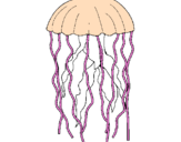 Desenho Medusa pintado por w