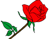 Desenho Rosa pintado por Aninha