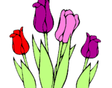 Desenho Tulipa pintado por GABI