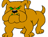 Desenho Cão Bulldog pintado por VASCO
