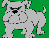 Desenho Cão Bulldog pintado por pedro