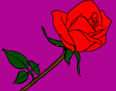 Desenho Rosa pintado por maria