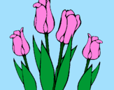 Desenho Tulipa pintado por lu