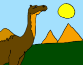 Desenho Camelo pintado por sa