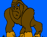 Desenho Gorila pintado por luka