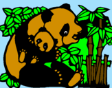 Desenho Mamã panda pintado por maiquinho da 12