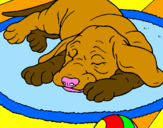 Desenho Cão a dormir pintado por rita silveiro