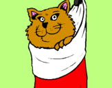 Desenho Gato dentro de uma meia pintado por -Paty-