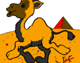 Desenho Camelo pintado por tiago  da  silva